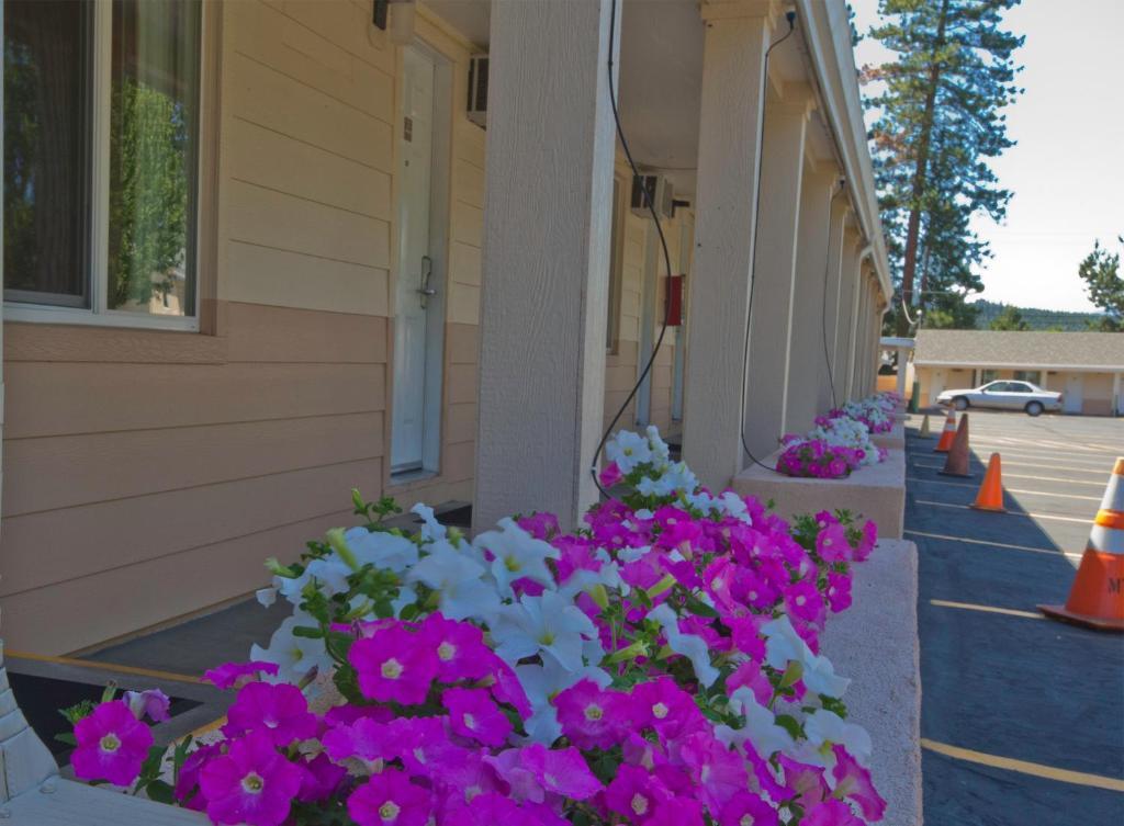 Shasta Pines Motel&Suites Burney Exterior foto